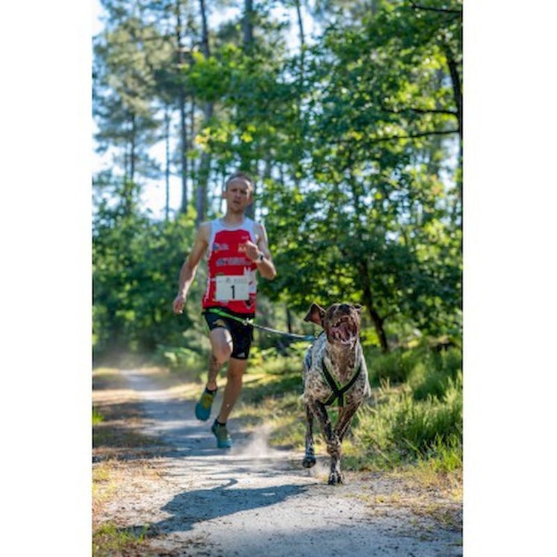 Polar Quest - Harnais pour chien