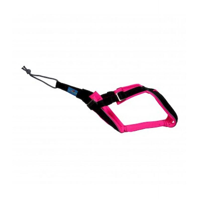 Open Back - Pettorina per cani