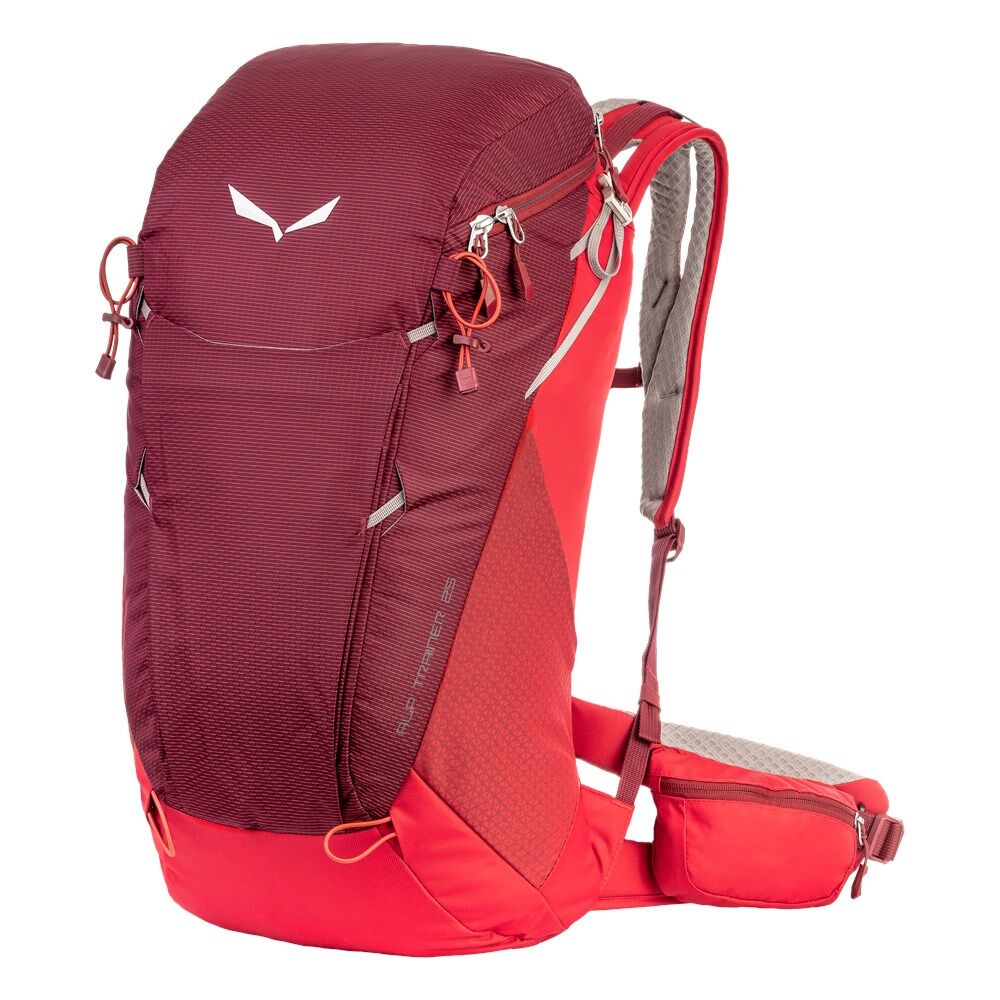 Salewa - Alp Trainer 25 BP - Trekking backpack