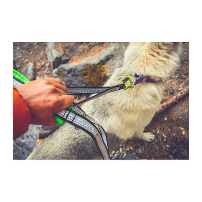 Inlandsis Polaris Evo - Guia de canicross | Hardloop