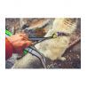 Inlandsis Polaris Evo - Guia de canicross | Hardloop