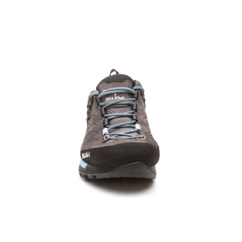 Salewa Ws Mtn Trainer GTX - Dámské Nízké trekové boty | Hardloop