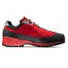 Dark Poinciana / Black