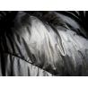 Rab Mythic Ultra 180 - Saco-cama | Hardloop