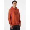 Helly Hansen HH Box Hoodie - Sudadera - Hombre