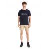 Icebreaker Tech Lite II SS Tee Nature Sprint - Maglia merino - Uomo | Hardloop