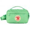 Apple Mint