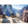 Lowa Lady Light GTX® - Chaussures trekking femme | Hardloop