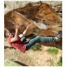 JeansTrack Roca - Pantaloni da arrampicata - Uomo | Hardloop