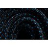 Black Diamond 6.0 Rope Static - Lina pojedyncza | Hardloop
