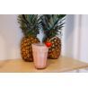 Qwetch Paille Originals Lot De 2 + Goupillon - Palhinhas | Hardloop