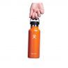 Hydro Flask 18 Oz Standard Flex Cap - Vacuum flask