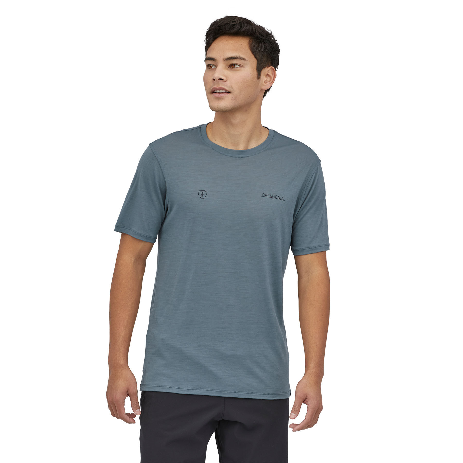 Patagonia Cap Cool Merino Graphic Shirt - T-shirt homme | Hardloop
