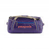 Perennial Purple