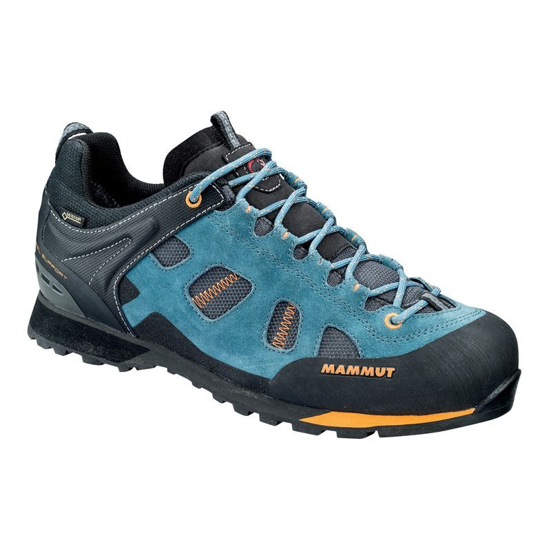 Mammut Ayako Low GTX® Men - Pánské Nízké trekové boty | Hardloop