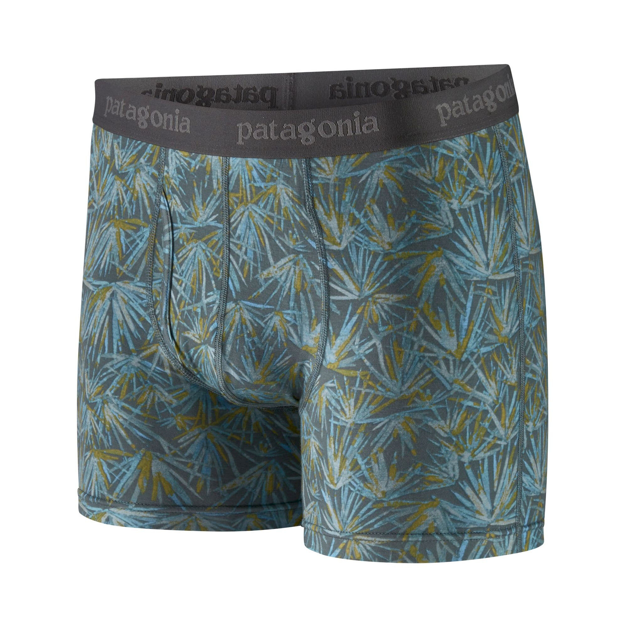 https://images.hardloop.fr/462958/patagonia-essential-boxer-briefs-3-underwear-mens.jpg?w=auto&h=auto&q=80