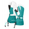 Pacific Green