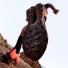 New Balance Super Comp Trail V1 - Scarpe da trail running - Uomo | Hardloop