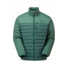 Pine / Fern