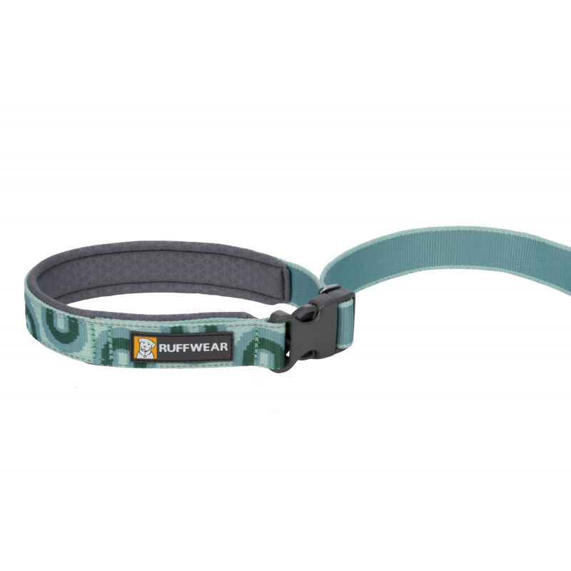 Rough wear hotsell dog leash