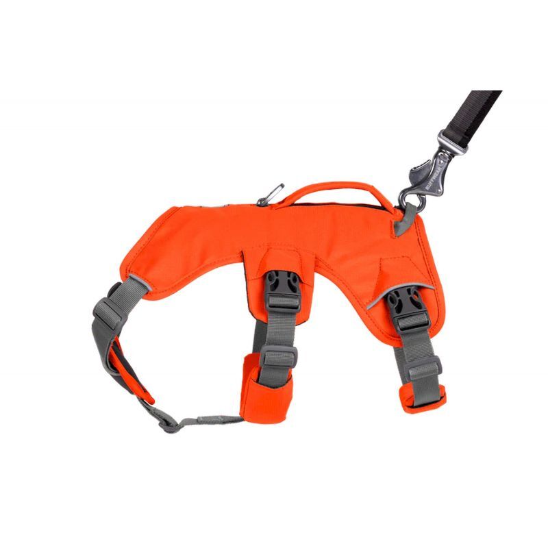 Ruffwear Web Master Harness - Harnais pour chien | Hardloop