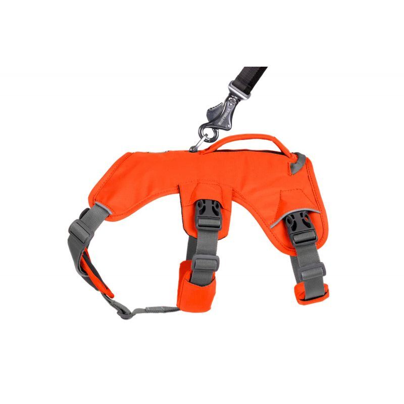 Ruffwear Web Master Harness - Hundsele | Hardloop