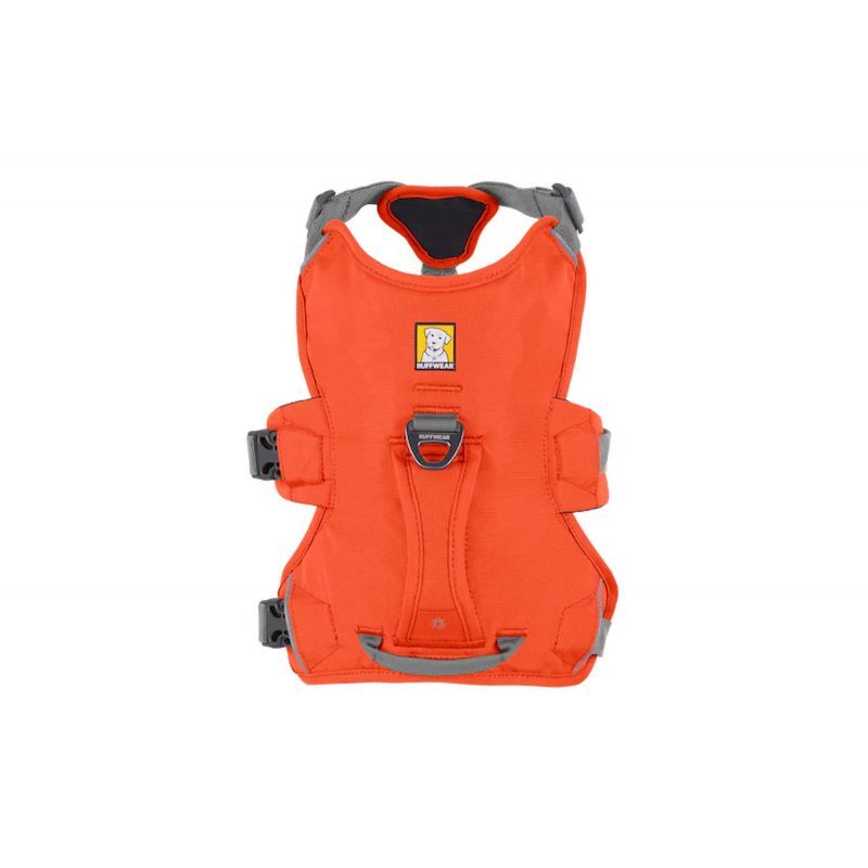Ruffwear Web Master Harness - Arnês para cachorro | Hardloop