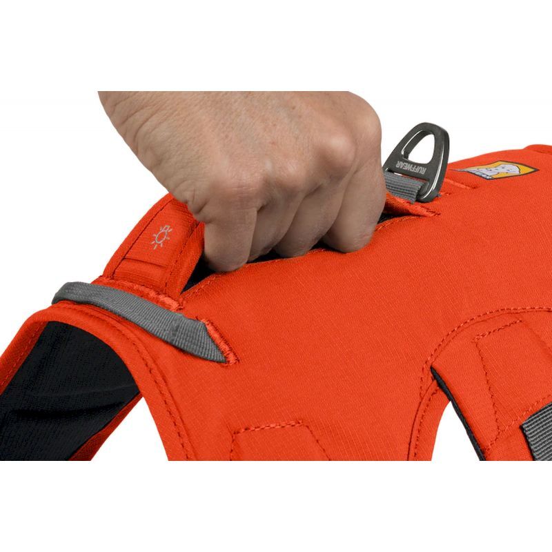 Ruffwear Web Master Harness - Arnés para perro | Hardloop