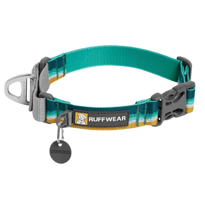 Web Reaction - Hondenhalsband