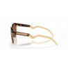 Oakley HSTN - Okulary przeciwsłoneczne | Hardloop