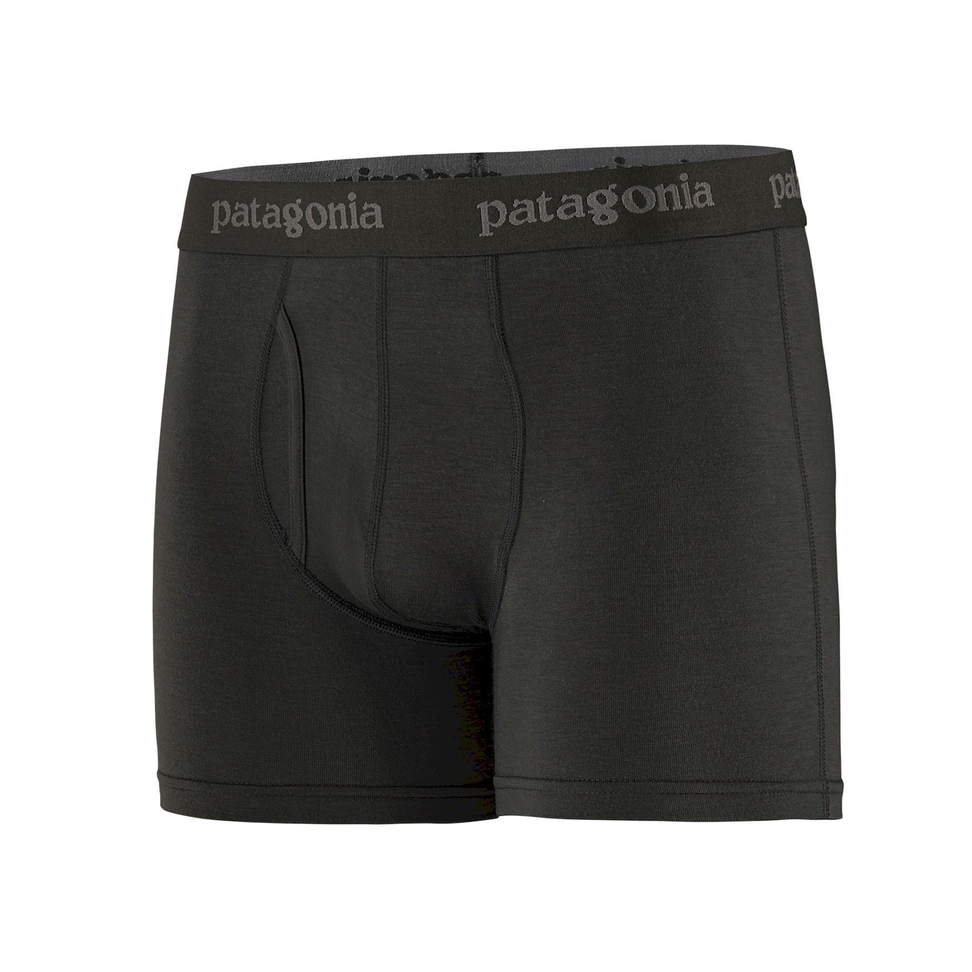 Patagonia Essential Boxer Briefs - 3" - Sous-vêtement homme | Hardloop