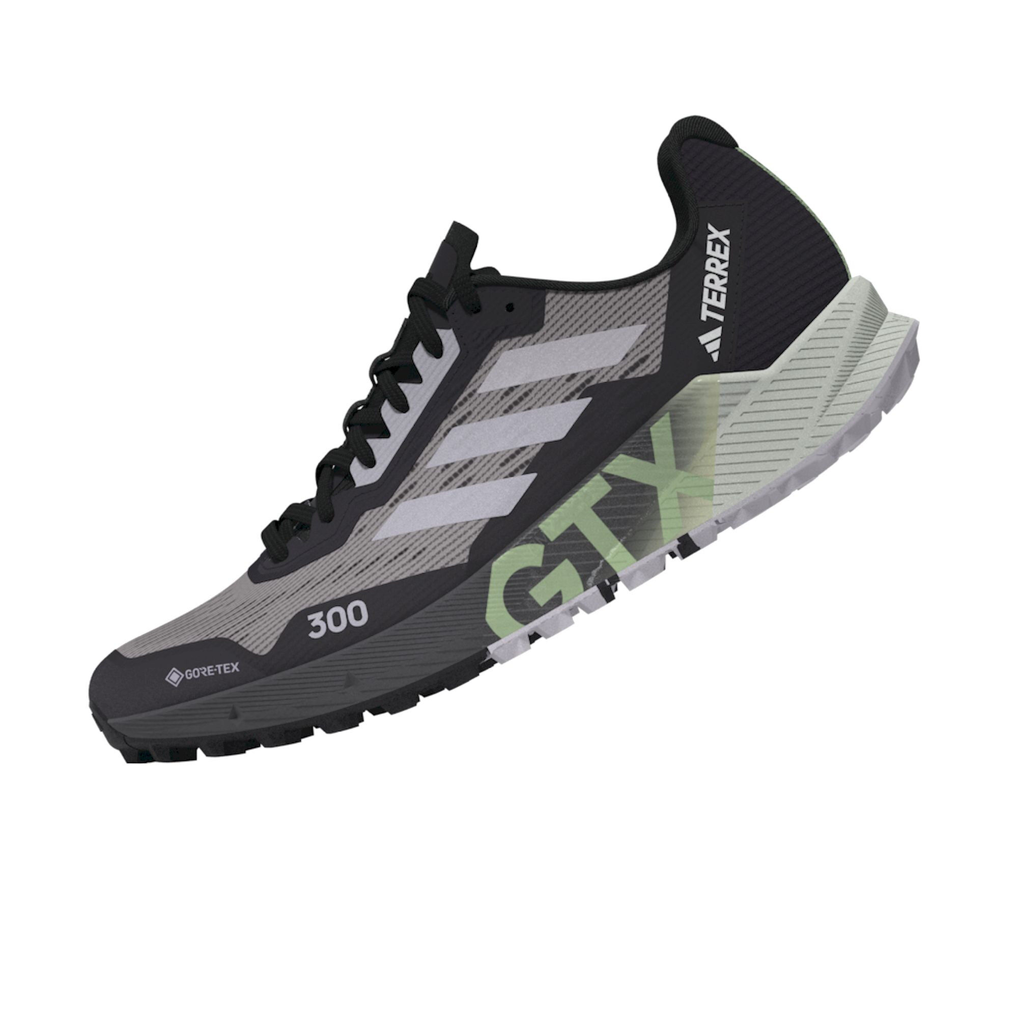 Terrex Agravic Flow 2 GTX Chaussures trail femme