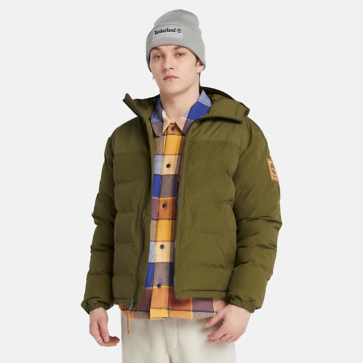 Timberland DWR Welch Mountain Hooded Puffer Jacket - Jacket - Men's | Hardloop