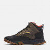 Timberland Mt Lincoln Mid GTX - Walking shoes - Men's | Hardloop