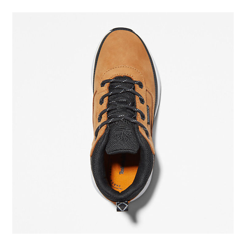 Timberland Hiker Field Trekker Low Youth - Vandringsskor - Børn | Hardloop