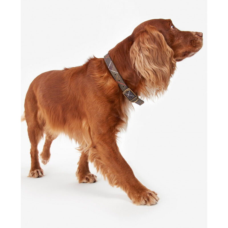 Barbour Tartan Dog Collar - Collier pour chien | Hardloop