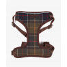 Classic Tartan