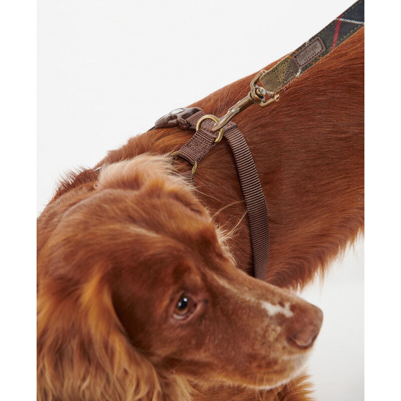 Barbour Travel And Exercise Dog Harness - Dog harness | Hardloop