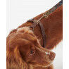 Barbour Travel And Exercise Dog Harness - Harnais pour chien | Hardloop