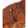 Barbour Travel And Exercise Dog Harness - Hondentuig | Hardloop