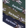 Barbour Pointer Dog Socks Gift Box - Socks - Men's | Hardloop
