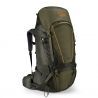 Moss / Dark Olive