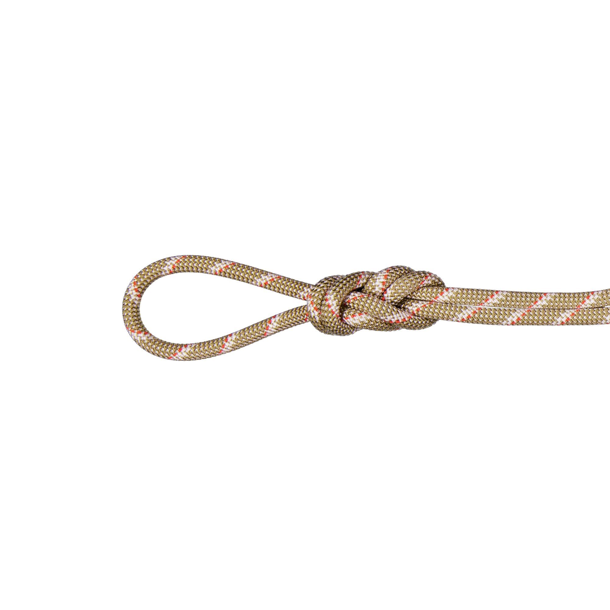 Mammut 8.0 Alpine Classic Rope - Corde escalade | Hardloop