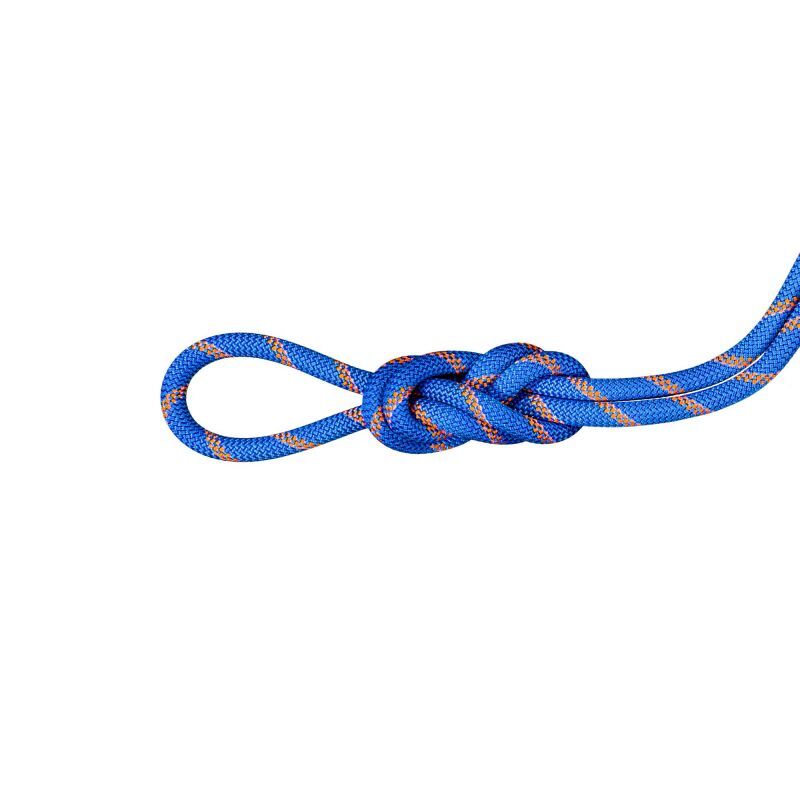 Mammut 9.0 Alpine Sender Dry Rope - Cuerda simple | Hardloop