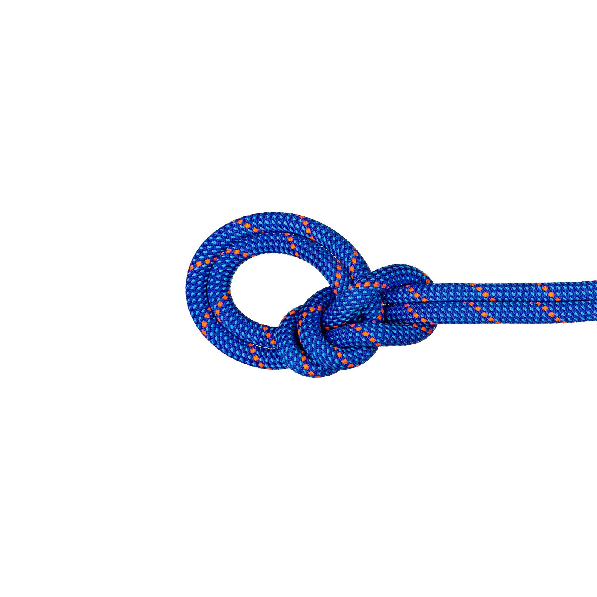 Mammut 9.5 Crag Dry Rope - Lina pojedyncza | Hardloop