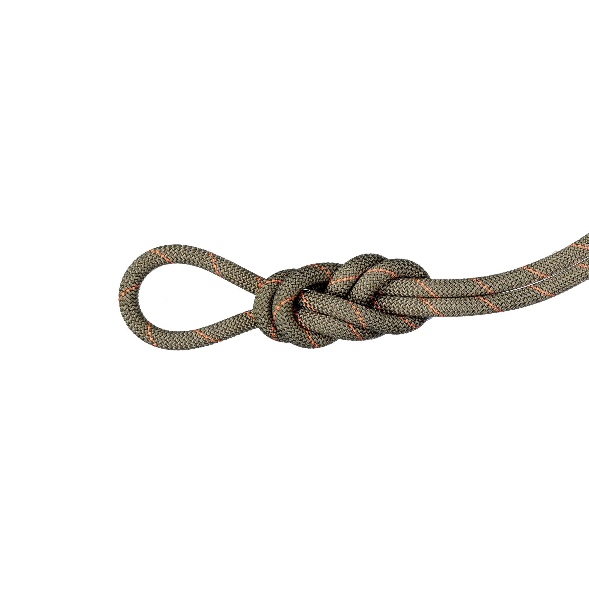 Mammut 9.9 Gym Workhorse Classic Rope - Cuerda simple | Hardloop