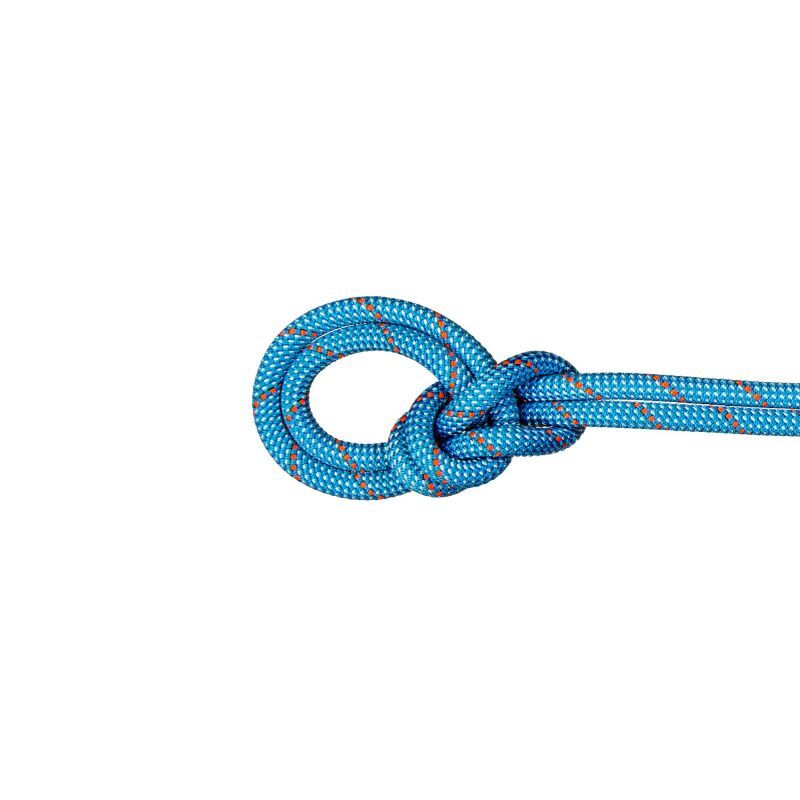 Mammut 9.8 Crag Classic Rope - Corda intera | Hardloop