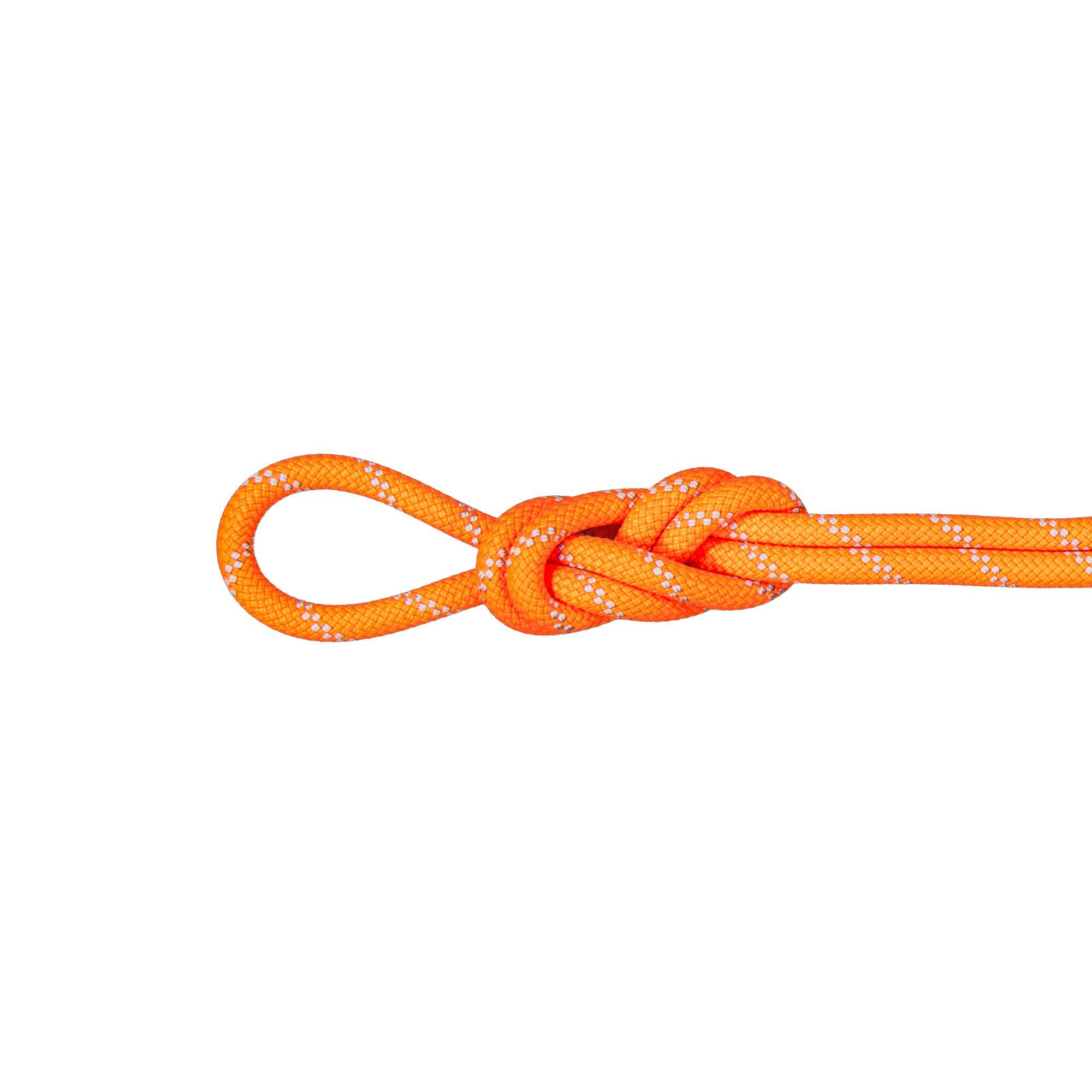 Mammut 9.5 Alpine Dry Rope - Jednoduché lano | Hardloop