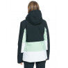 Roxy Peakside Jacket - Kurtka narciarska damska | Hardloop