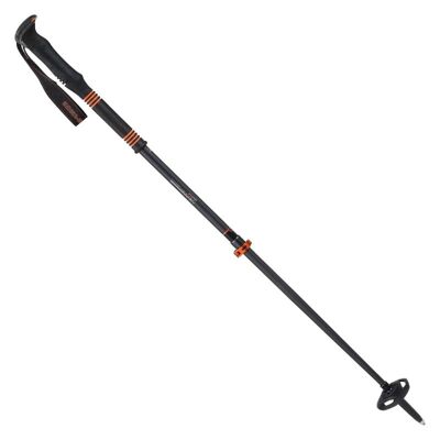 Carbon C2 Ultralight - Toerskistokken